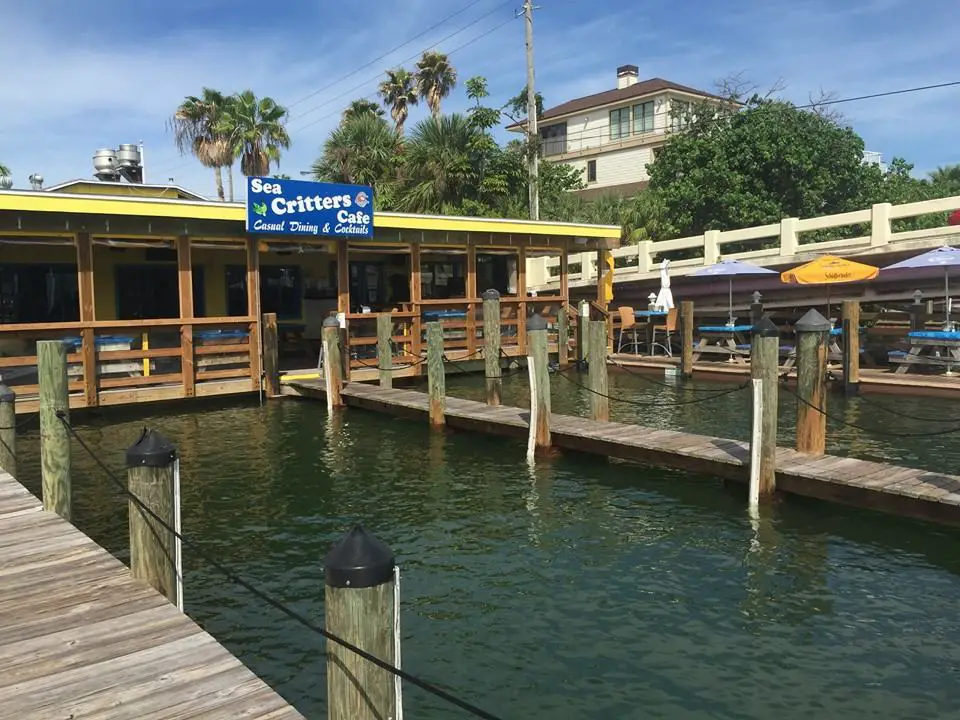 sea critters | St. Pete Beach Today